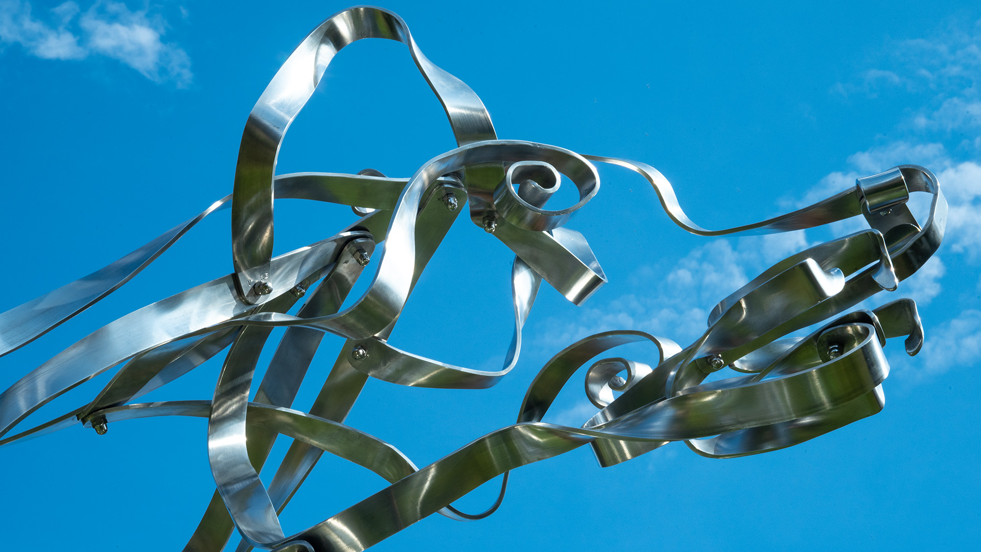 Beast_head_03_8900_banner
